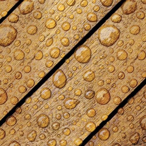 ADHESIVO WATERSEAL CLEAR MULTIFUNSION WATERPROOFER