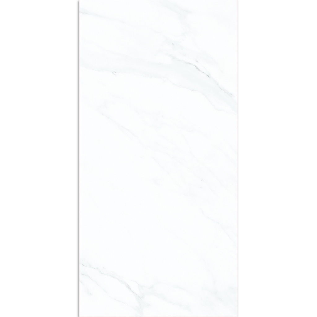 AZULEJO 60 X 1.20 MEDICI GRIS MATE RECT(2 PZA/1.44 MT2)