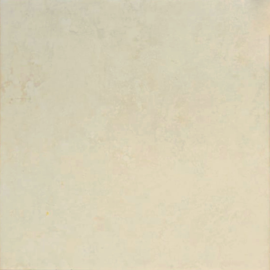 PORCELANATO 60 X 60 PLN 60S01(1.44M2)