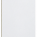 PANEL UPVC WHITE ( 40 X 2.95CM X 0.9) 1.18M
